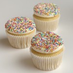 Vanilla Sprinkles Cupcake