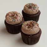 Milk Chocolate Sprinkles Cupcake
