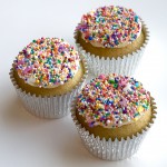 Vegan Sprinkles Cupcake