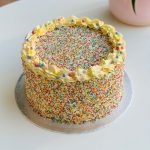 Custom Sprinkles Cake VEGAN