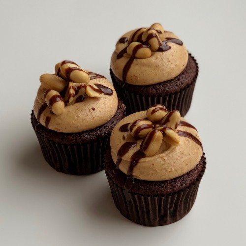 Chocolate Peanut Butter Cupcake