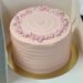 Pastel Pink Cake