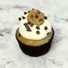 Chocolate Chip