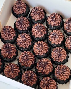 Double Chocolate Mini Cupcakes