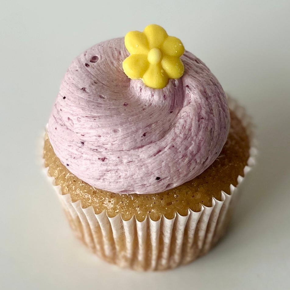 Lemon Blueberry Cupcake