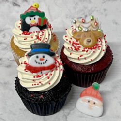 Vegan – Christmas Friends Box